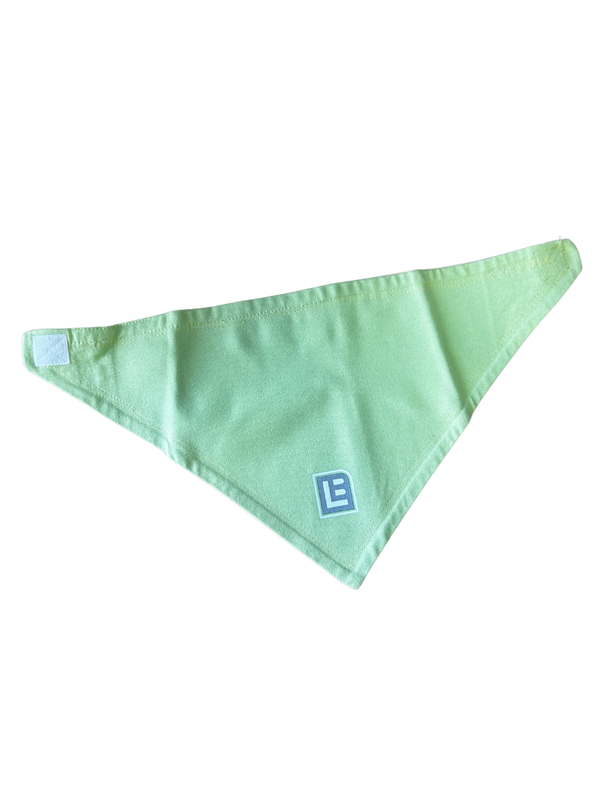 Baby Swag Reversible Bib